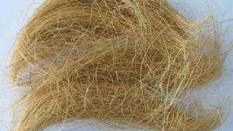 椰壳纤维进口清关 椰壳纤维进口清关