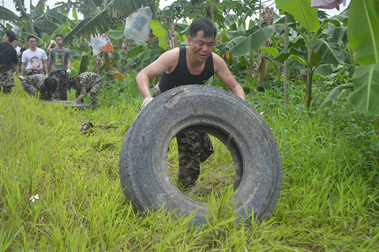 20180521173303799 20180521173303799