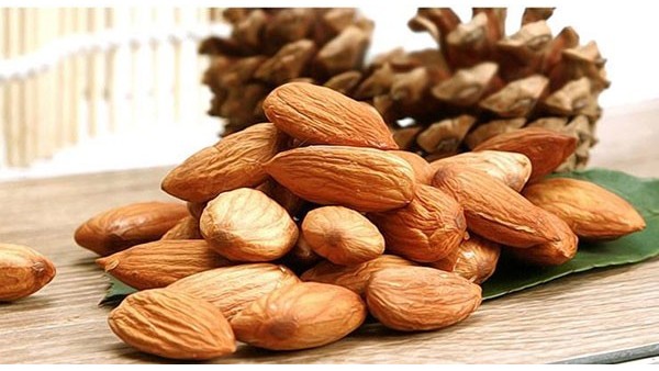 扁桃仁进口报关 扁桃仁进口报关