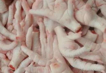 泰国冷冻鸡爪进口 泰国冷冻鸡爪进口