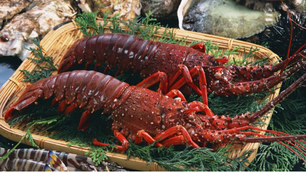 海鲜进口 海鲜进口