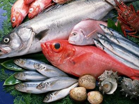 水产品东莞进口代理清关,水产品进口代理清关,水产品进口清关 水产品东莞进口代理清关,水产品进口代理清关,水产品进口清关