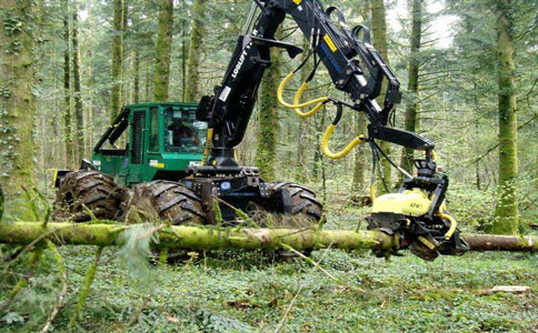 1二手伐木机s 1二手伐木机s