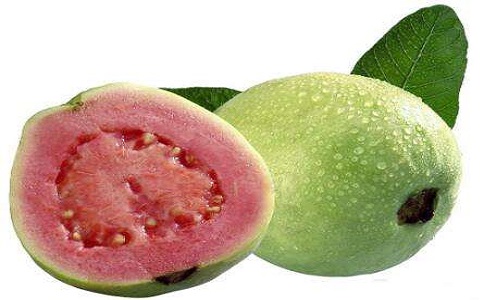 番石榴进口 番石榴进口