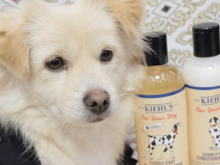 宠物洗护用品进口报关,宠物洗护用品进口报关代理,宠物洗护用品进口报关公司 宠物洗护用品进口报关,宠物洗护用品进口报关代理,宠物洗护用品进口报关公司