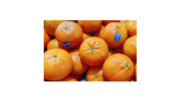 关于进口伊朗鲜食柑橘植物检疫要求的公告 关于进口伊朗鲜食柑橘植物检疫要求的公告