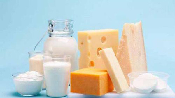 乳制品 乳制品
