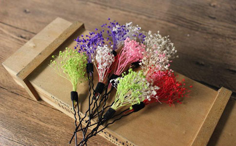 干花 干花