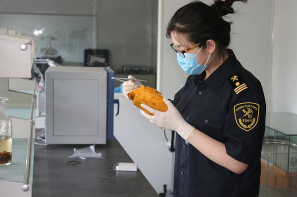 海关检疫 海关检疫