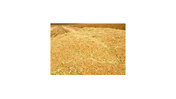 解读 | 关于进口白俄罗斯菜籽粕和豆粕检验检疫要求的公告 解读 | 关于进口白俄罗斯菜籽粕和豆粕检验检疫要求的公告