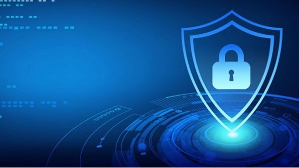 上海口岸关税保证保险改革初见成效 上海口岸关税保证保险改革初见成效