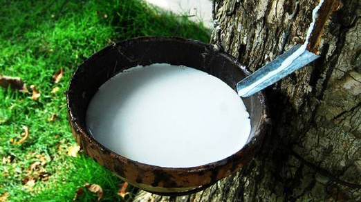 进口天然乳胶 进口天然乳胶