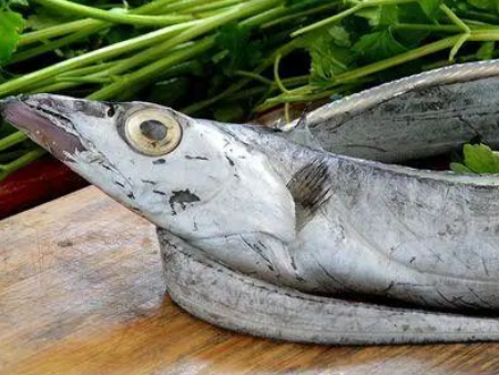 带鱼进口东莞虎门港报关,带鱼进口报关,带鱼东莞报关 带鱼进口东莞虎门港报关,带鱼进口报关,带鱼东莞报关