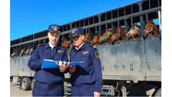 海关估价 海关估价