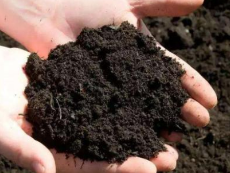 化肥广州必威betway西汉姆联app手机版报关,化肥广州进口报关,化肥进口报关 化肥广州必威betway西汉姆联app手机版报关,化肥广州进口报关,化肥进口报关