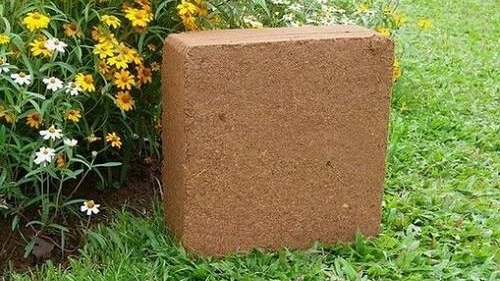 广州椰糠进口报关 广州椰糠进口报关