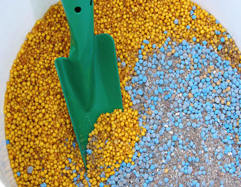 肥料进口 肥料进口