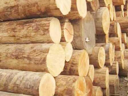 木材东莞沙田进口报关,木材进口报关,木材东莞进口报关 木材东莞沙田进口报关,木材进口报关,木材东莞进口报关