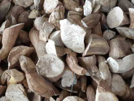 木薯干进口报关,木薯干进口清关,木薯干进口报关公司 木薯干进口报关,木薯干进口清关,木薯干进口报关公司