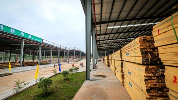 进口木材 进口木材