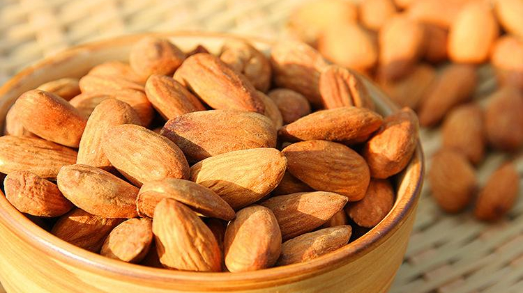 东莞扁桃仁进口报关代理 东莞扁桃仁进口报关代理