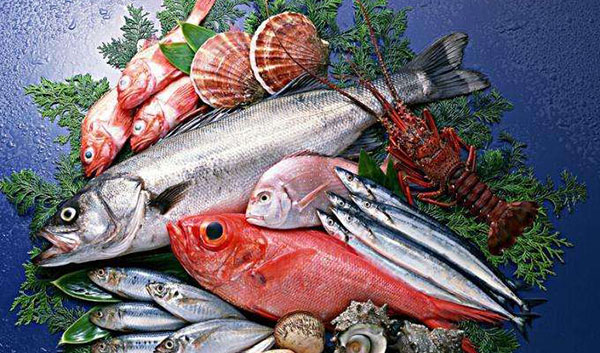 水产品进口报关 水产品进口报关