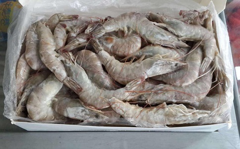 冷品进口报关 冷品进口报关