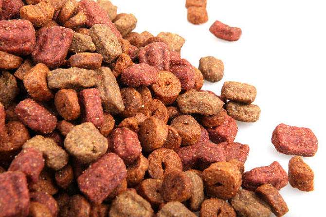 宠物食品进口报关 宠物食品进口报关