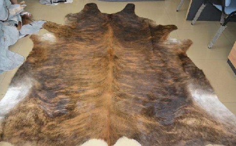 进口牛皮报关代理 进口牛皮报关代理