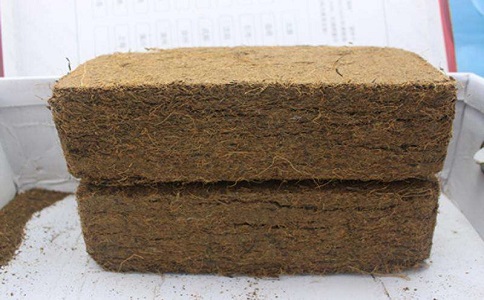 椰糠进口 椰糠进口