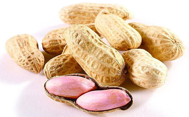 花生进口 花生进口