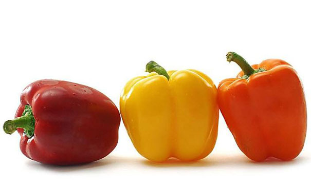 荷兰甜椒 荷兰甜椒