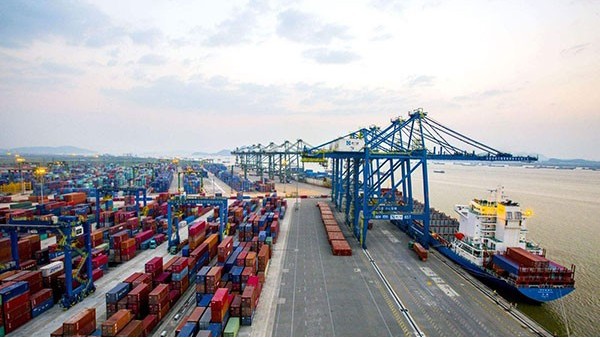 优化报关单位 优化报关单位