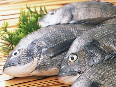 3水产品广州进口清关代理,水产品清关代理,水产品广州清关 3水产品广州进口清关代理,水产品清关代理,水产品广州清关