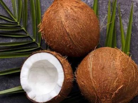 椰子东莞太平进口报关,椰子进口报关,椰子东莞报关 椰子东莞太平进口报关,椰子进口报关,椰子东莞报关