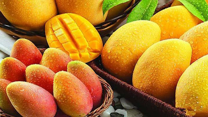 进口水果 进口水果