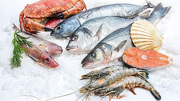冷冻海鲜进口报关 冷冻海鲜进口报关