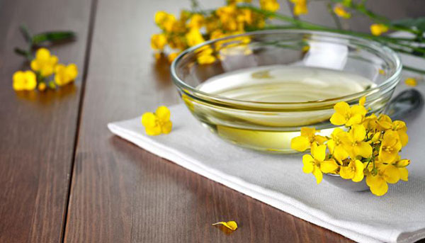 菜籽油进口报关 菜籽油进口报关