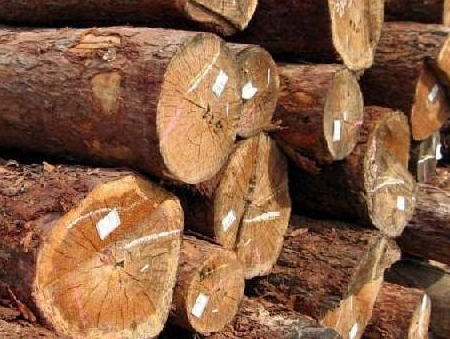 微信截图_20200715114639 微信截图_20200715114639