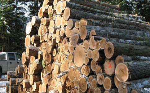 木材进口 木材进口