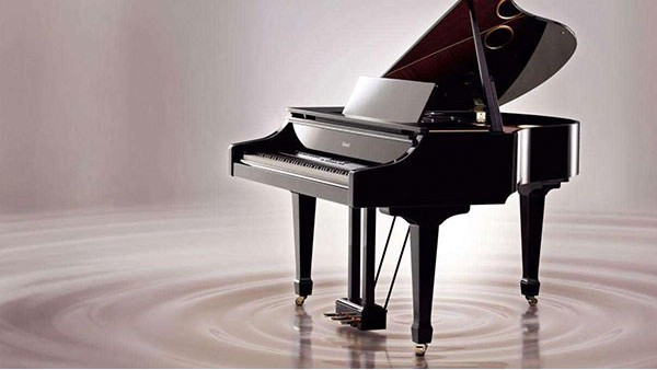 东莞钢琴进口报关 东莞钢琴进口报关