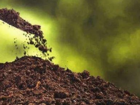 肥料进口东莞虎门港报关,肥料进口东莞报关,肥料进口报关 肥料进口东莞虎门港报关,肥料进口东莞报关,肥料进口报关