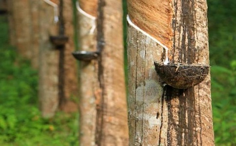 橡胶进口报关 橡胶进口报关