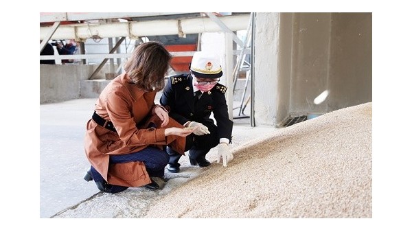 银川海关助力小麦进口报关 银川海关助力小麦进口报关