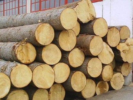 进口原木报关,进口原木报关代理,进口原木报关代理公司 进口原木报关,进口原木报关代理,进口原木报关代理公司