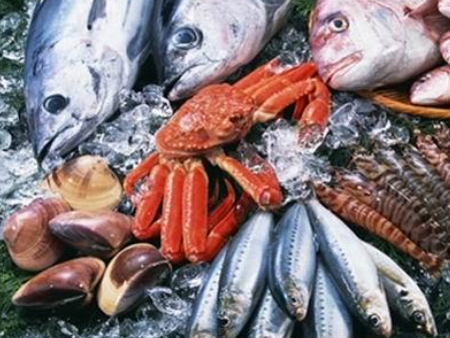 广州白云区报关行,进口水产品清关,进口水产品清关广州清关 广州白云区报关行,进口水产品清关,进口水产品清关广州清关