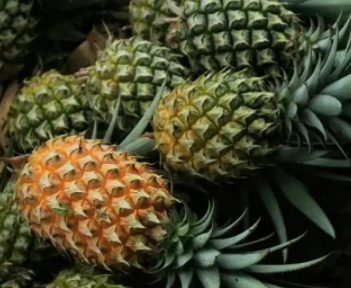 菠萝进口 菠萝进口