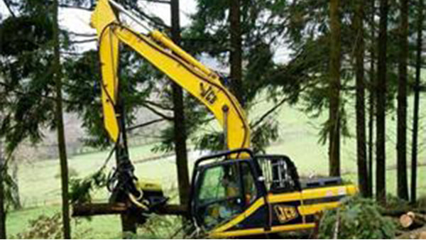 二手伐木机 二手伐木机