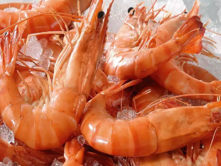 冷冻虾佛山进口清关代理,冷冻虾清关代理,冷冻虾进口清关 冷冻虾佛山进口清关代理,冷冻虾清关代理,冷冻虾进口清关