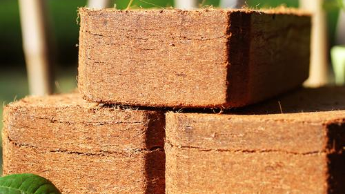 椰糠进口报关 椰糠进口报关